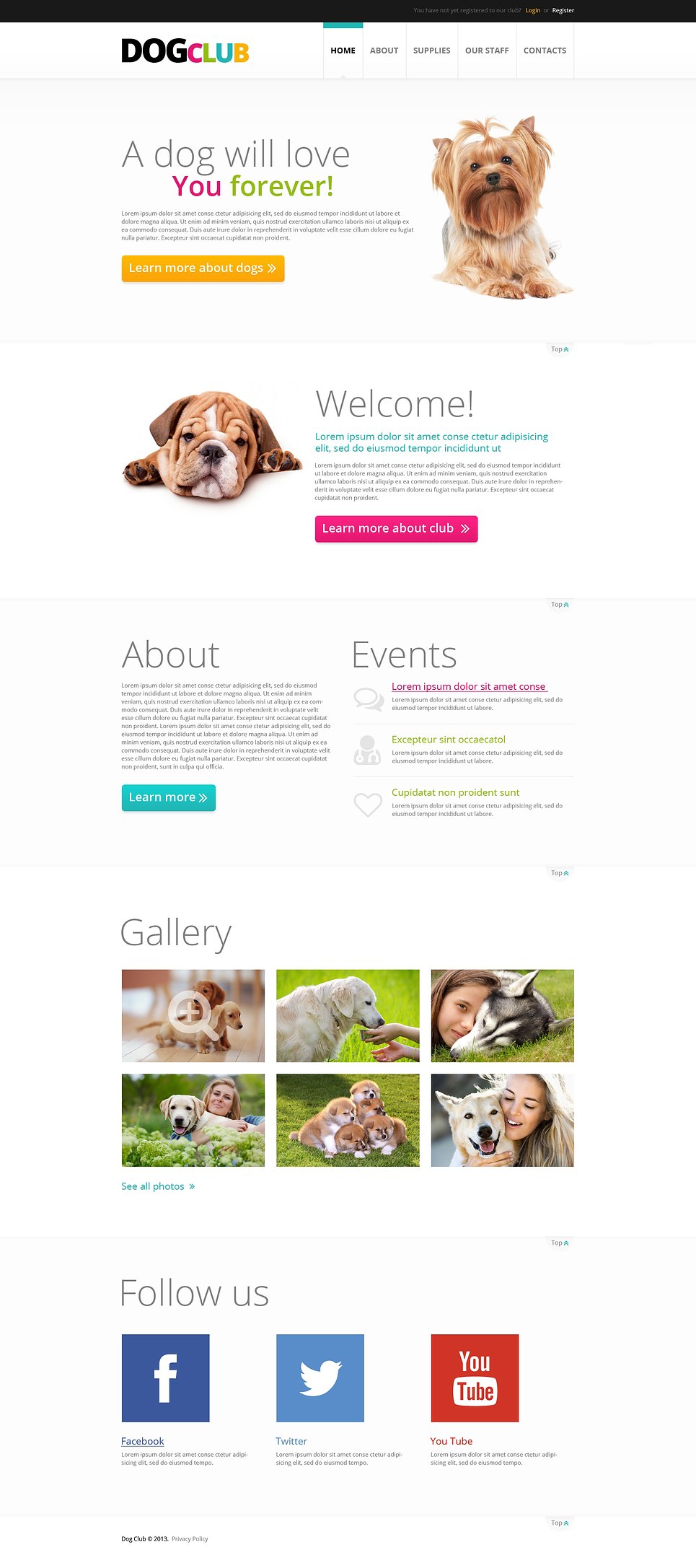 Dog Responsive Website Template New Screenshots BIG