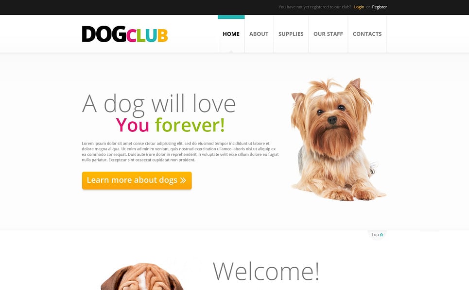 websites for dog stuff