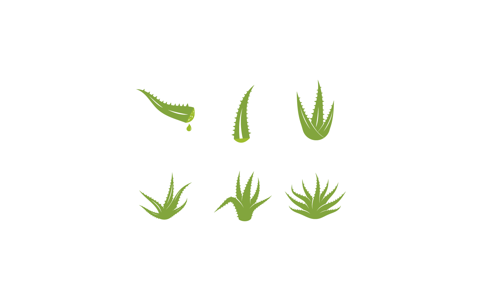Aloe vera logo simgesi illüstrasyon şablonu