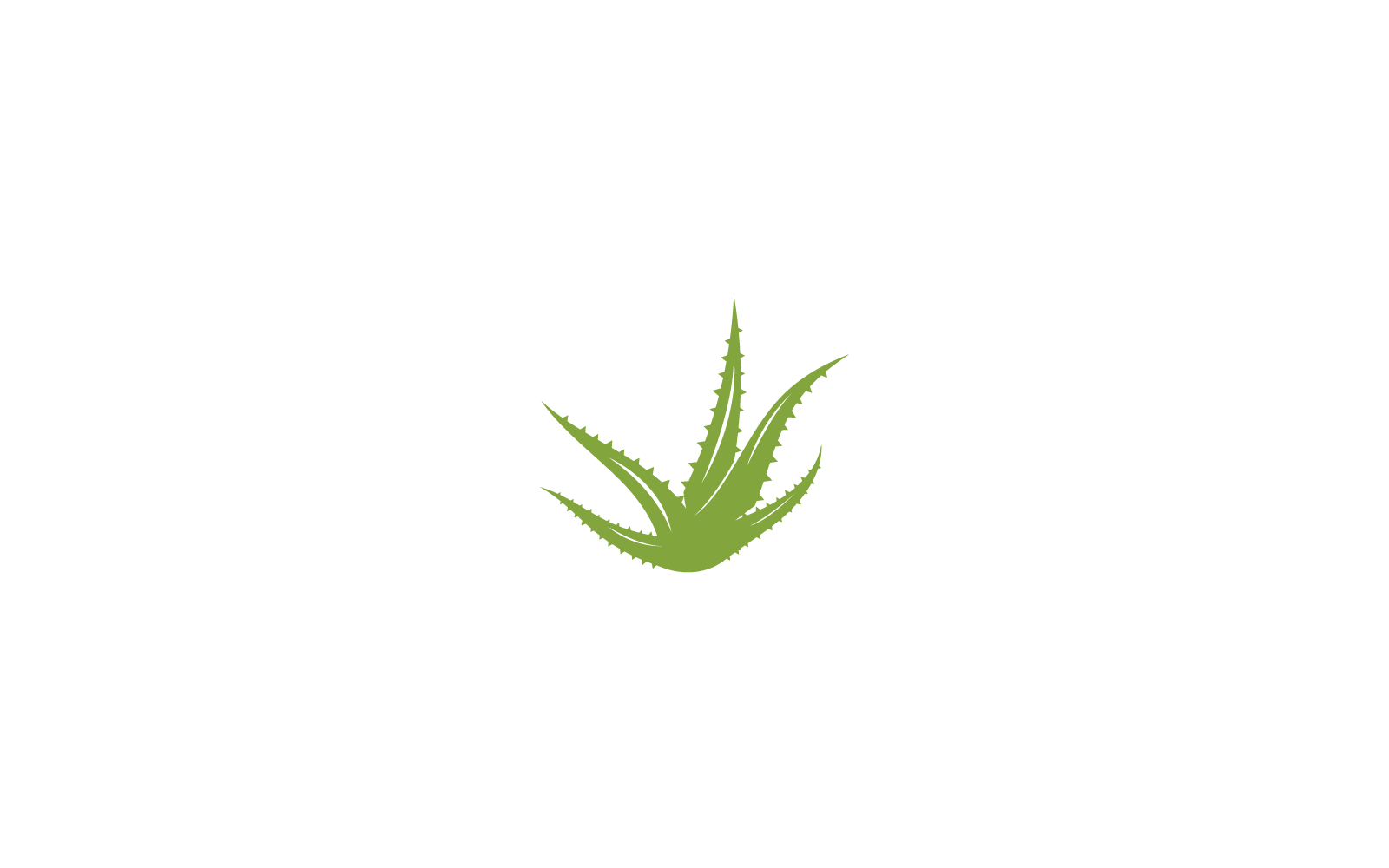 Aloe vera logo tasarımı vektör illüstrasyonu