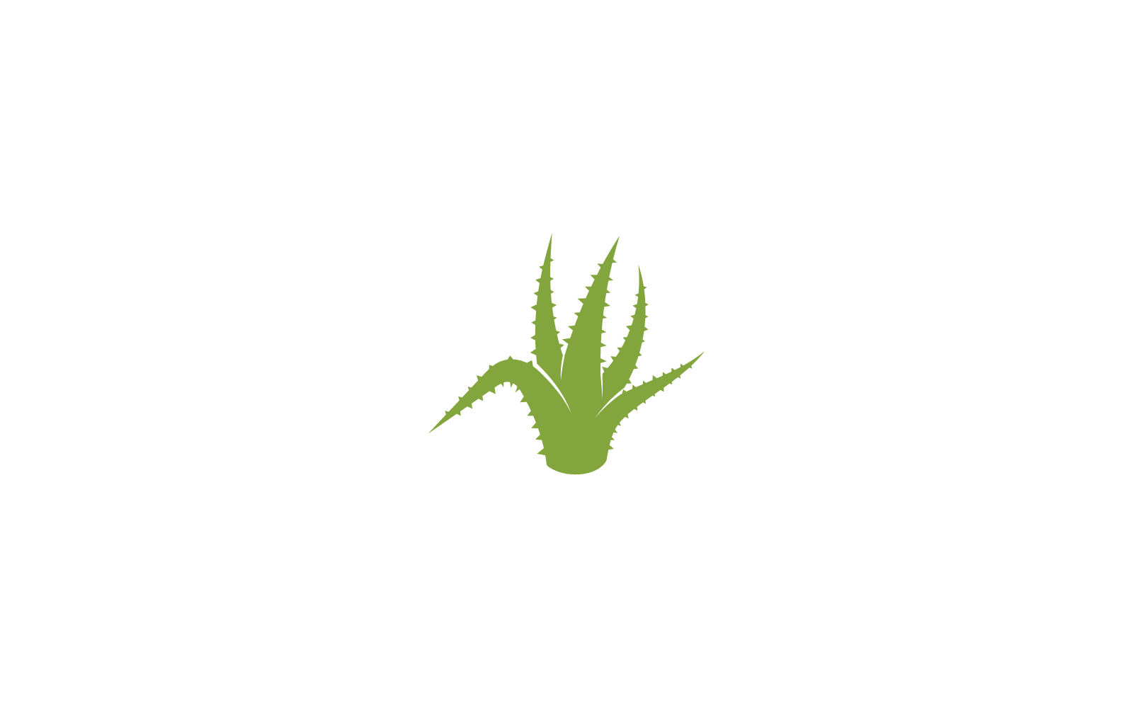 Aloe vera logo vector template flat design