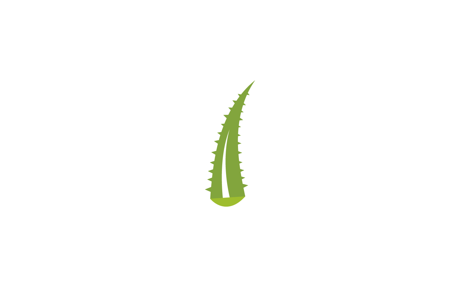 Icono de plantilla vectorial de logotipo de aloe vera