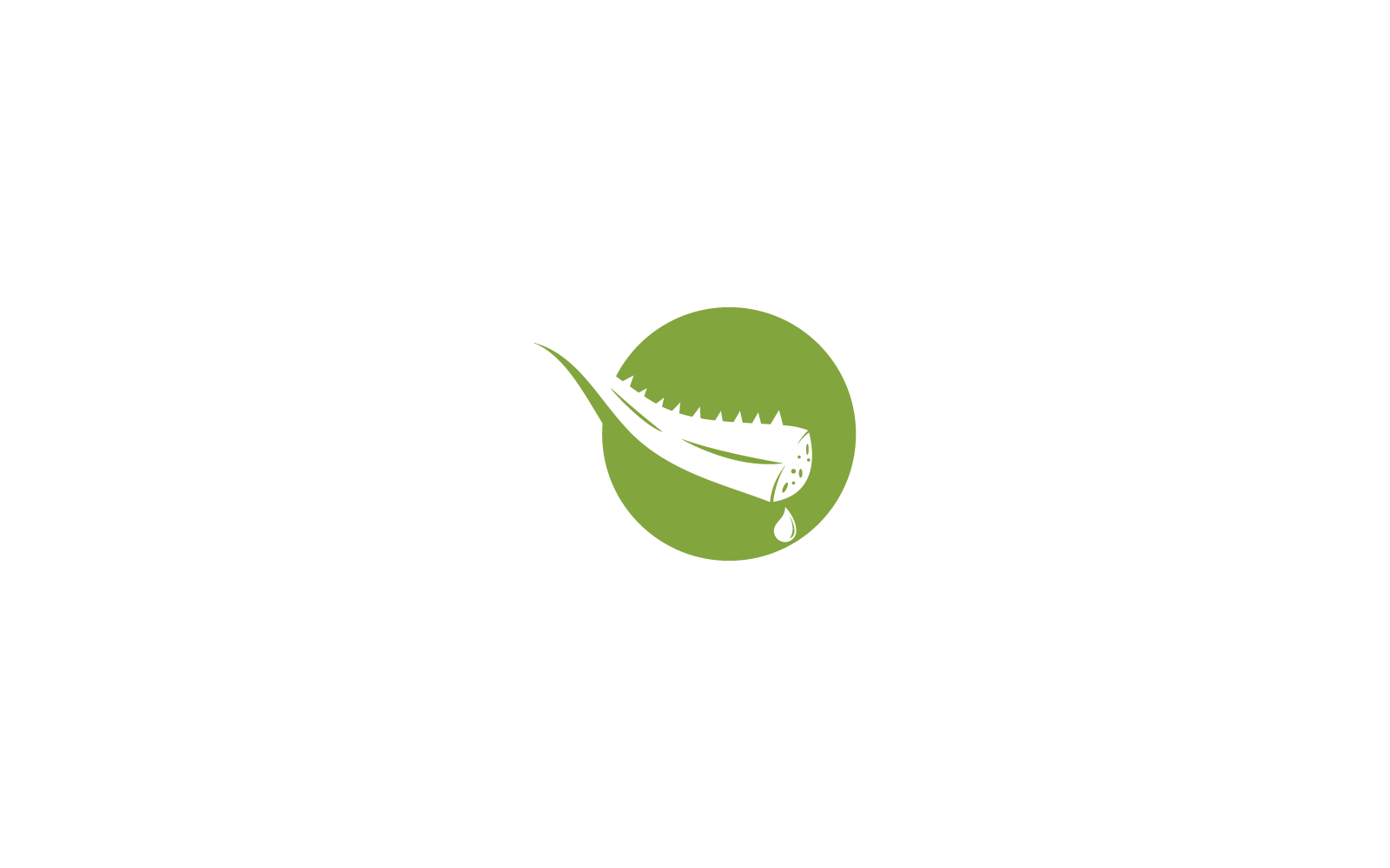 Plantilla de ilustración de diseño plano vectorial del logotipo de aloe vera