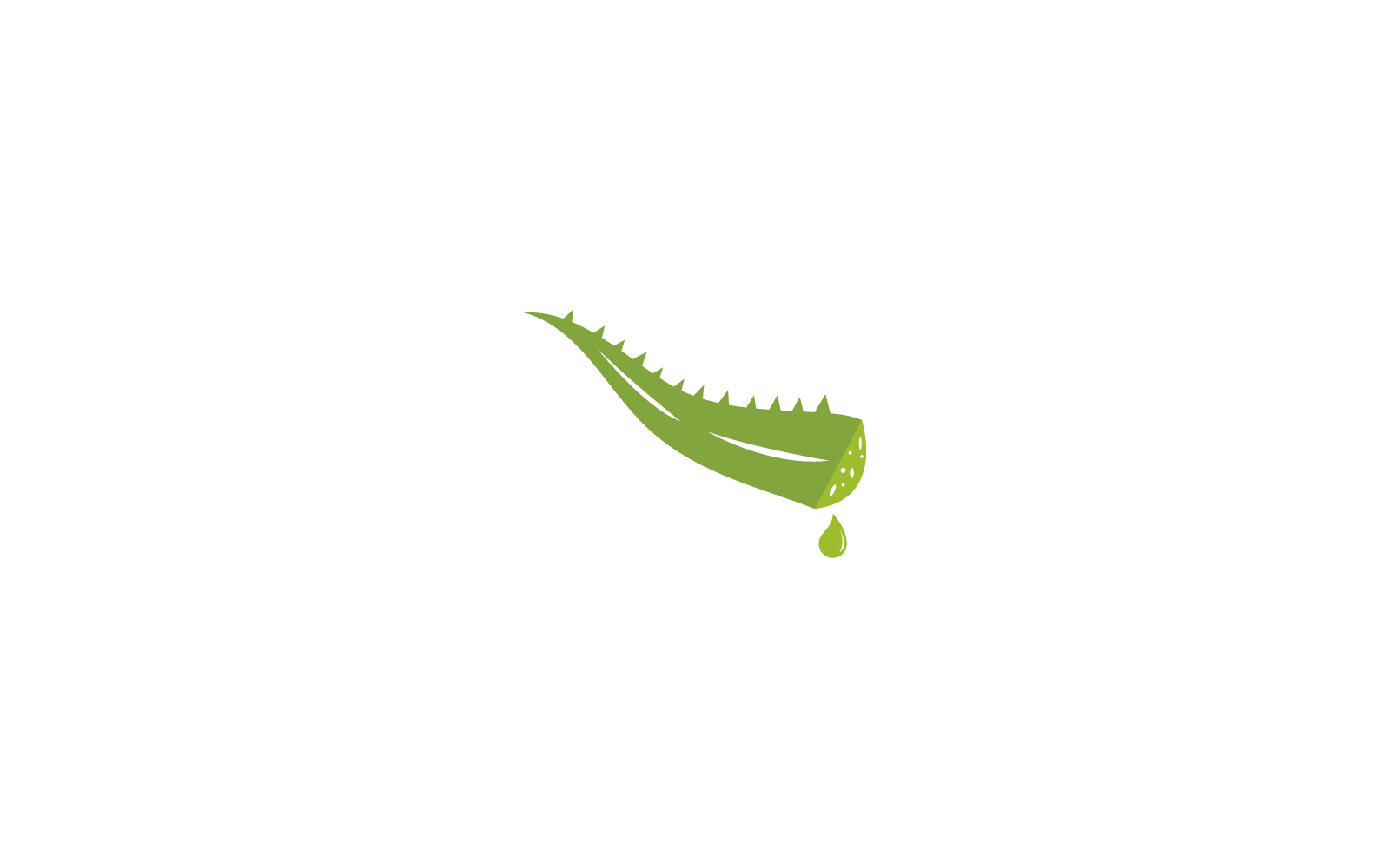 Plantilla de ilustración de logotipo de diseño vectorial de aloe vera