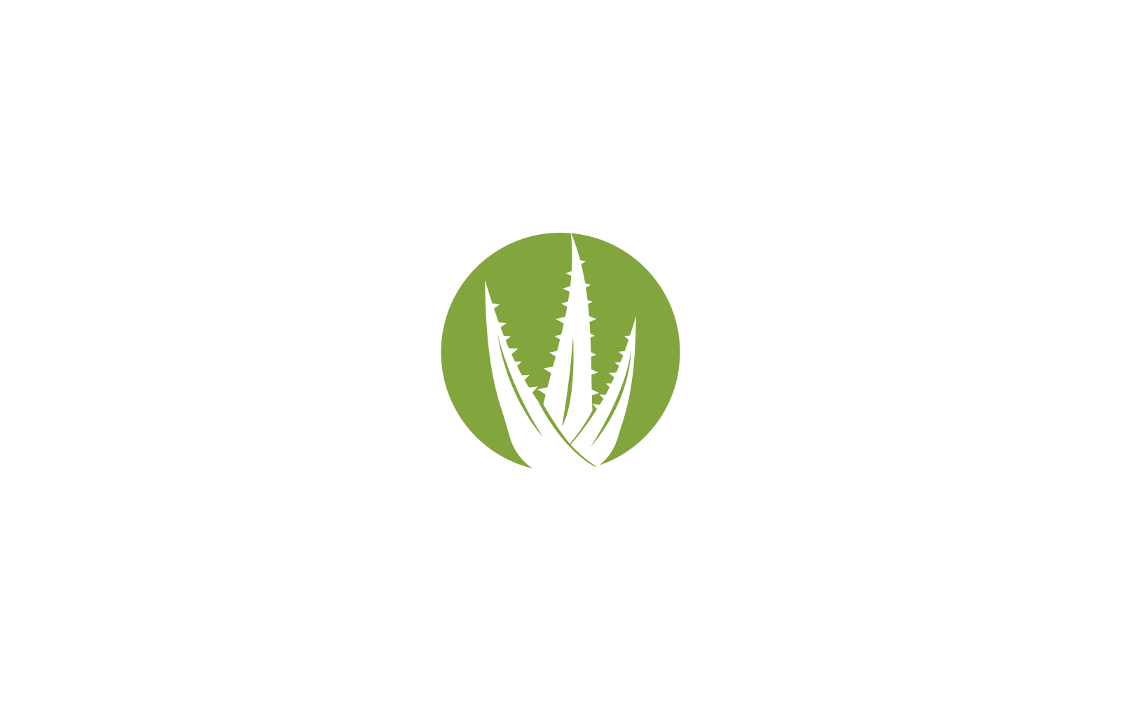 Aloe vera logo simgesi illüstrasyon vektör şablonu