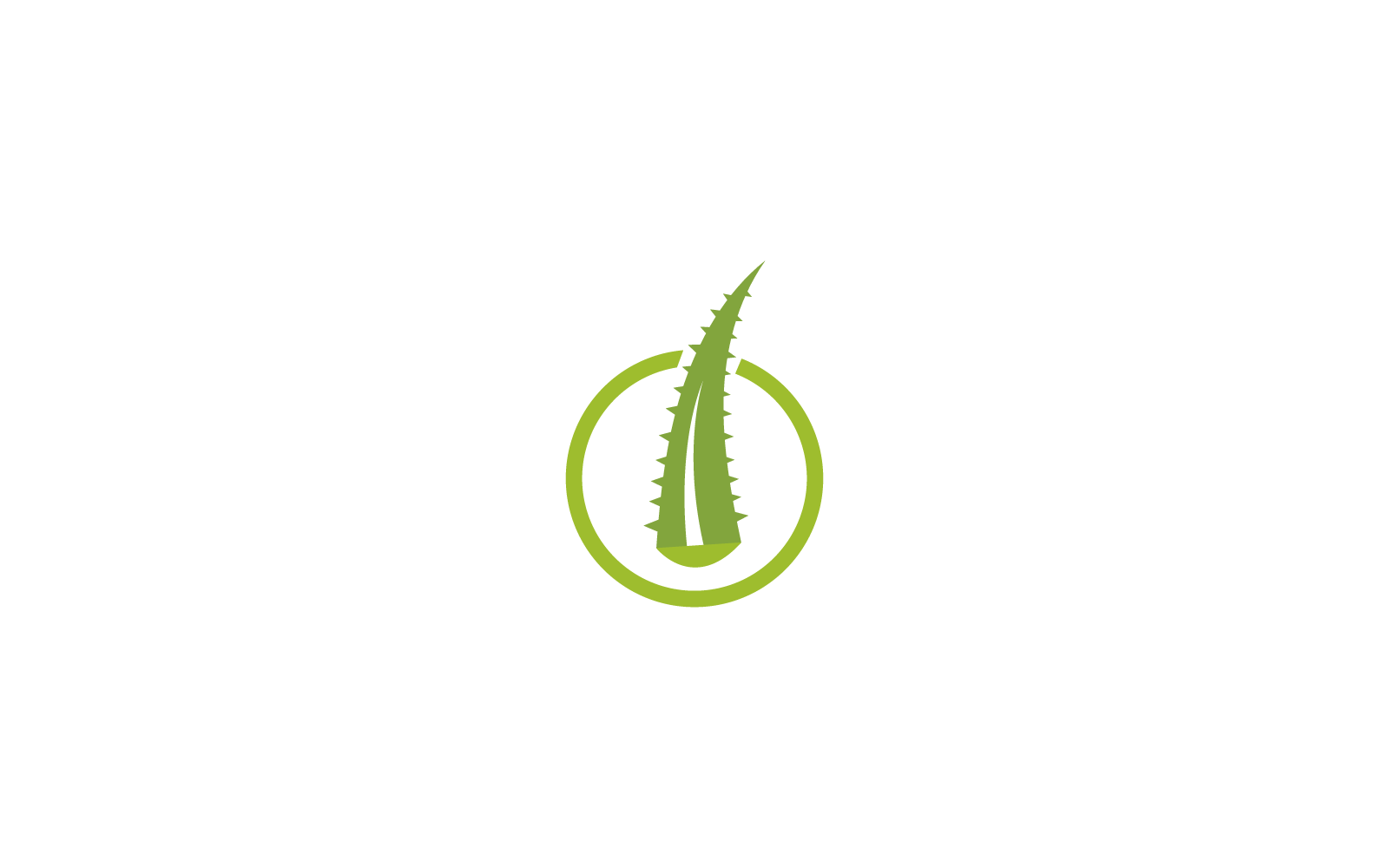 Aloe vera simgesi vektör illüstrasyon şablonu