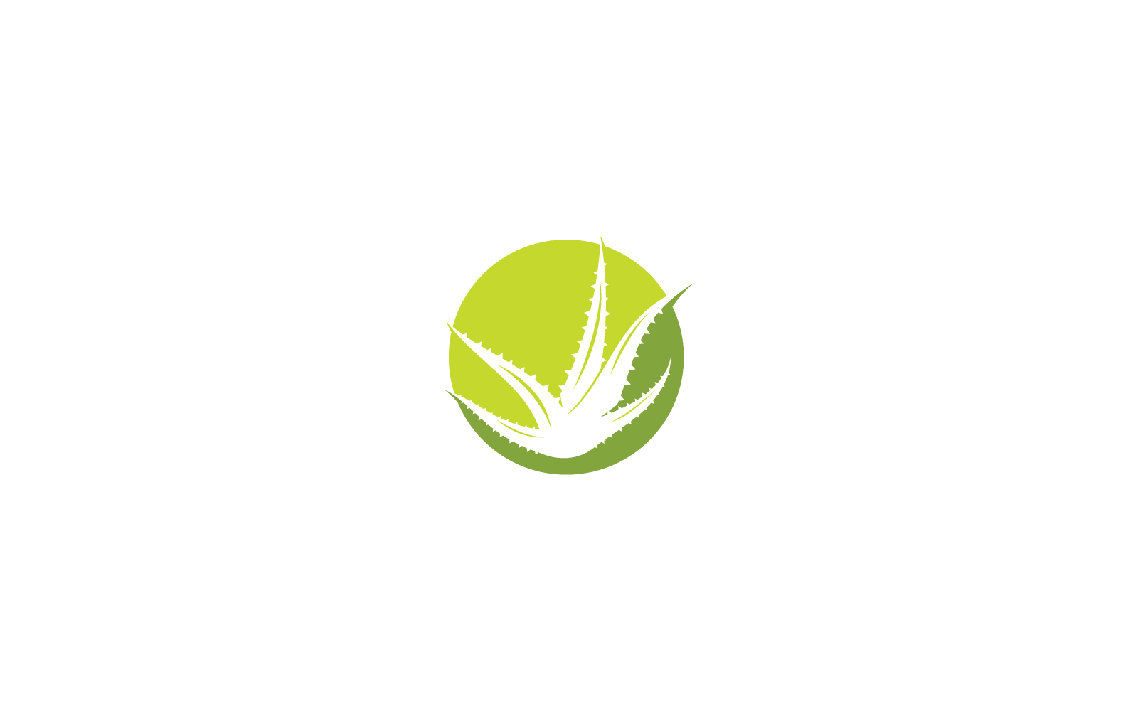 Plantilla de diseño plano de icono de ilustración de logotipo de aloe vera
