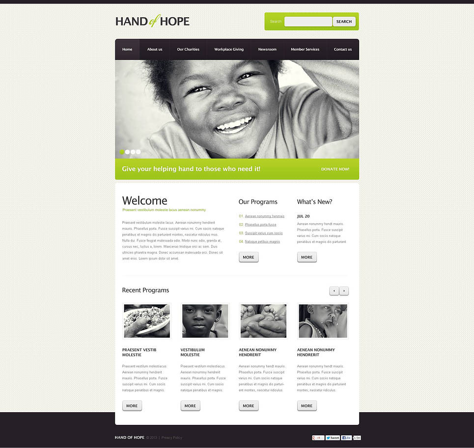 Charity Flash CMS Template New Screenshots BIG