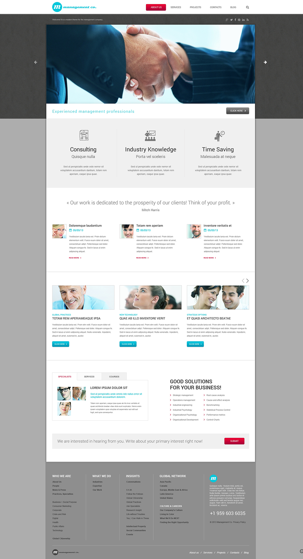 Management Campaigns WordPress Theme New Screenshots BIG