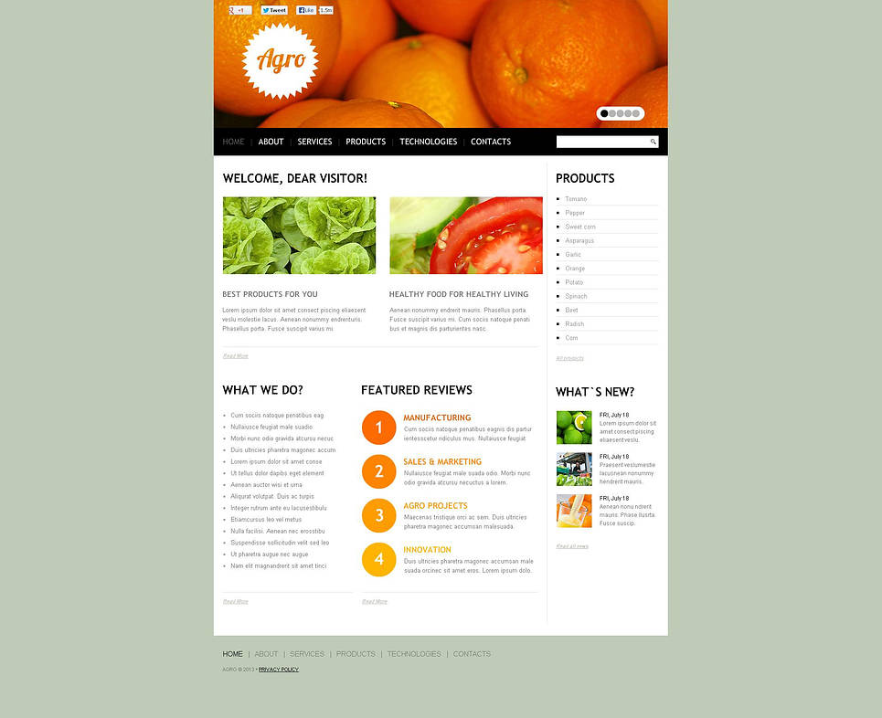 Vegetable Flash CMS Template New Screenshots BIG