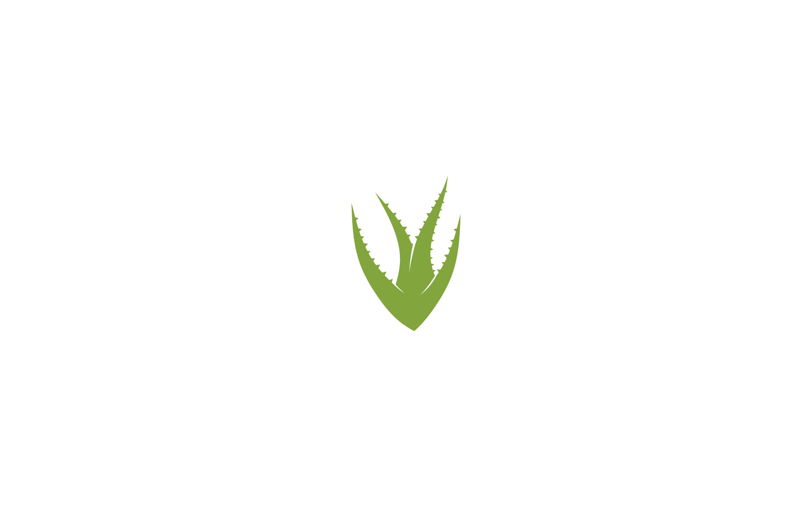 Aloe vera logo ikonu vektör illüstrasyon şablonu