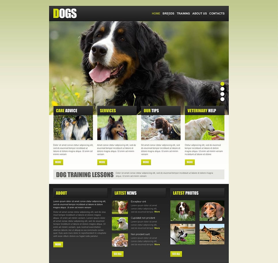 Dog Flash CMS Template New Screenshots BIG