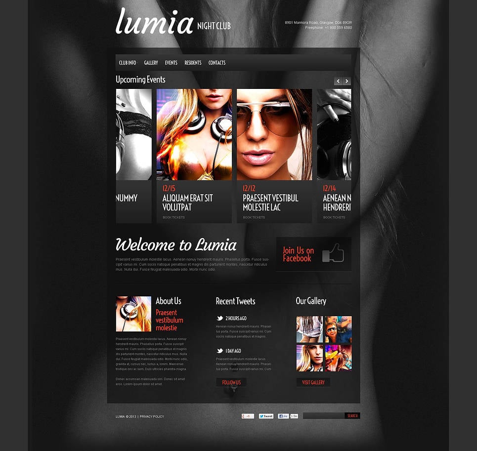 Night Club Flash CMS Template New Screenshots BIG