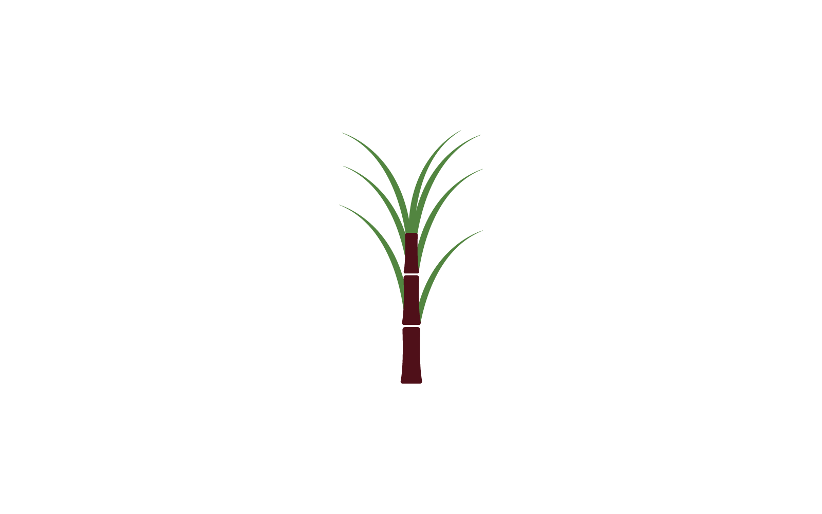 Diseño de ilustración vectorial del icono de la planta de caña de azúcar