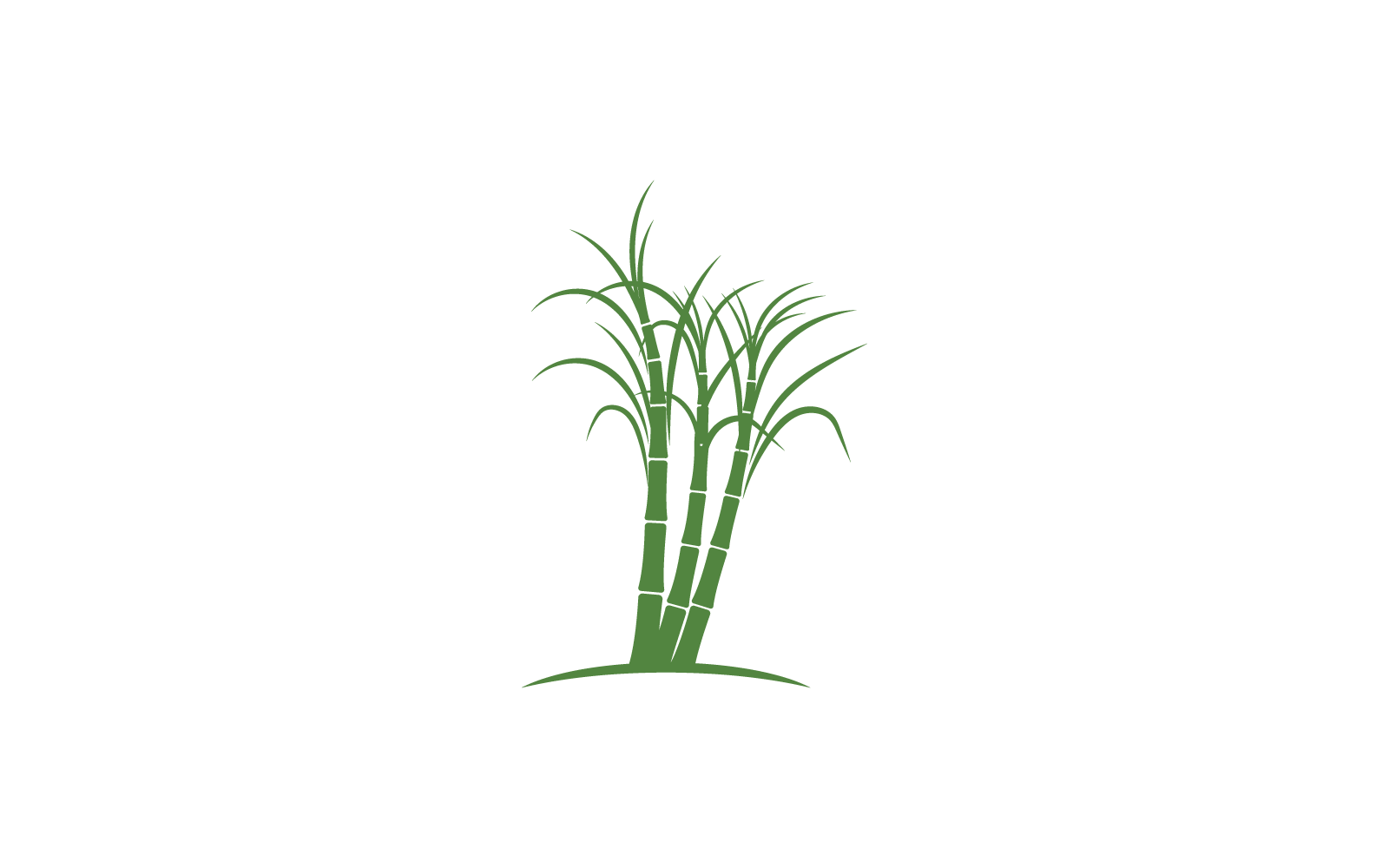 Ilustración vectorial del logotipo de la planta de caña de azúcar, diseño plano