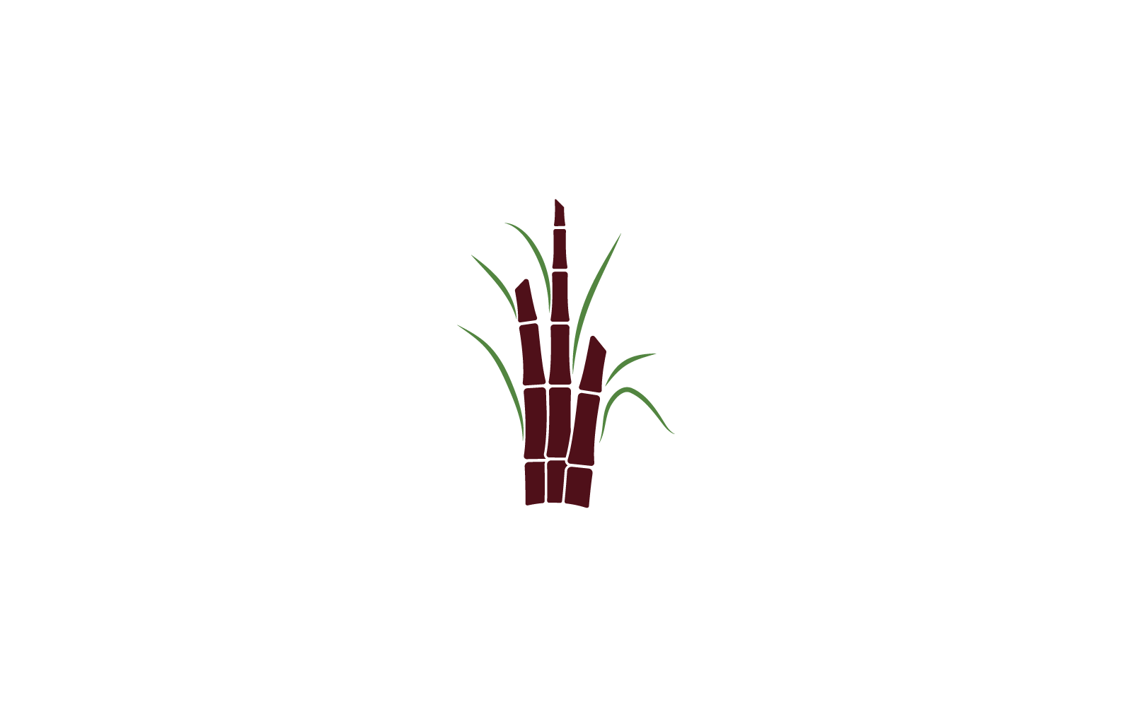 Plantilla de ilustración vectorial del logotipo de la planta de caña de azúcar