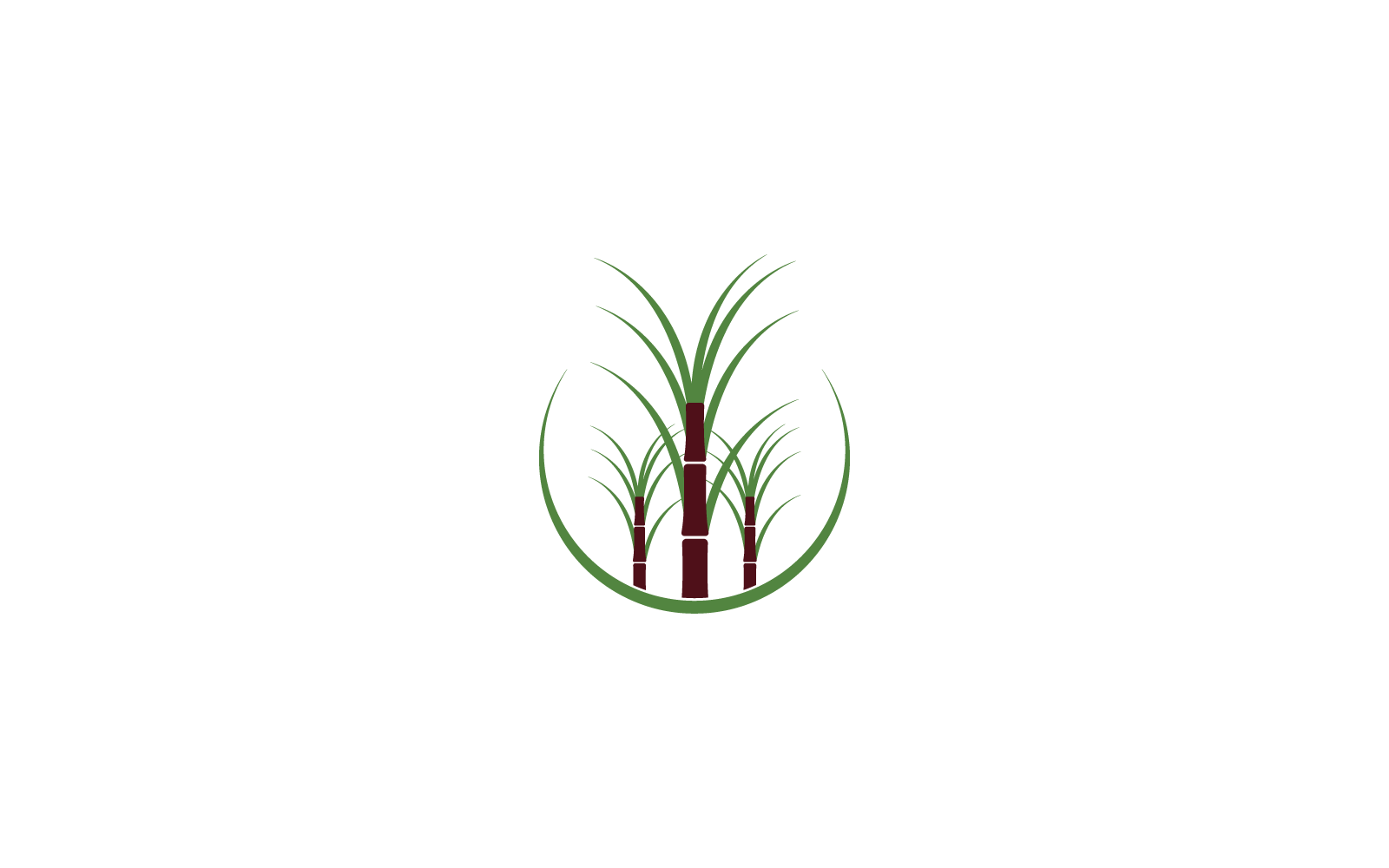 Plantilla de diseño plano vectorial del icono del logotipo de la planta de caña de azúcar