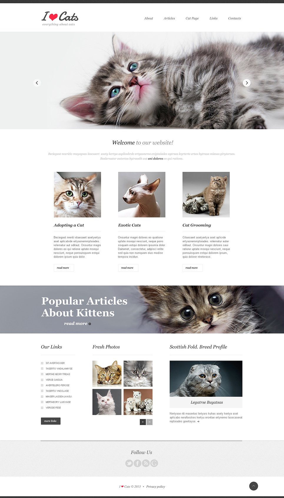 Cat Responsive Website Template New Screenshots BIG