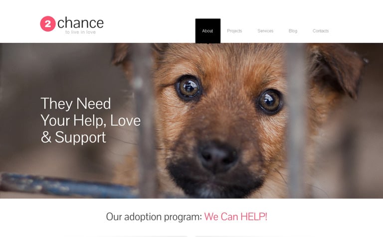Impressive Animal Shelter Bootstrap WordPress Template Big Screenshot Impressive Animal Shelter WordPress Theme New Screenshots BIG