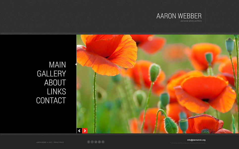 Photographer Portfolio Responsive Joomla Template New Screenshots BIG