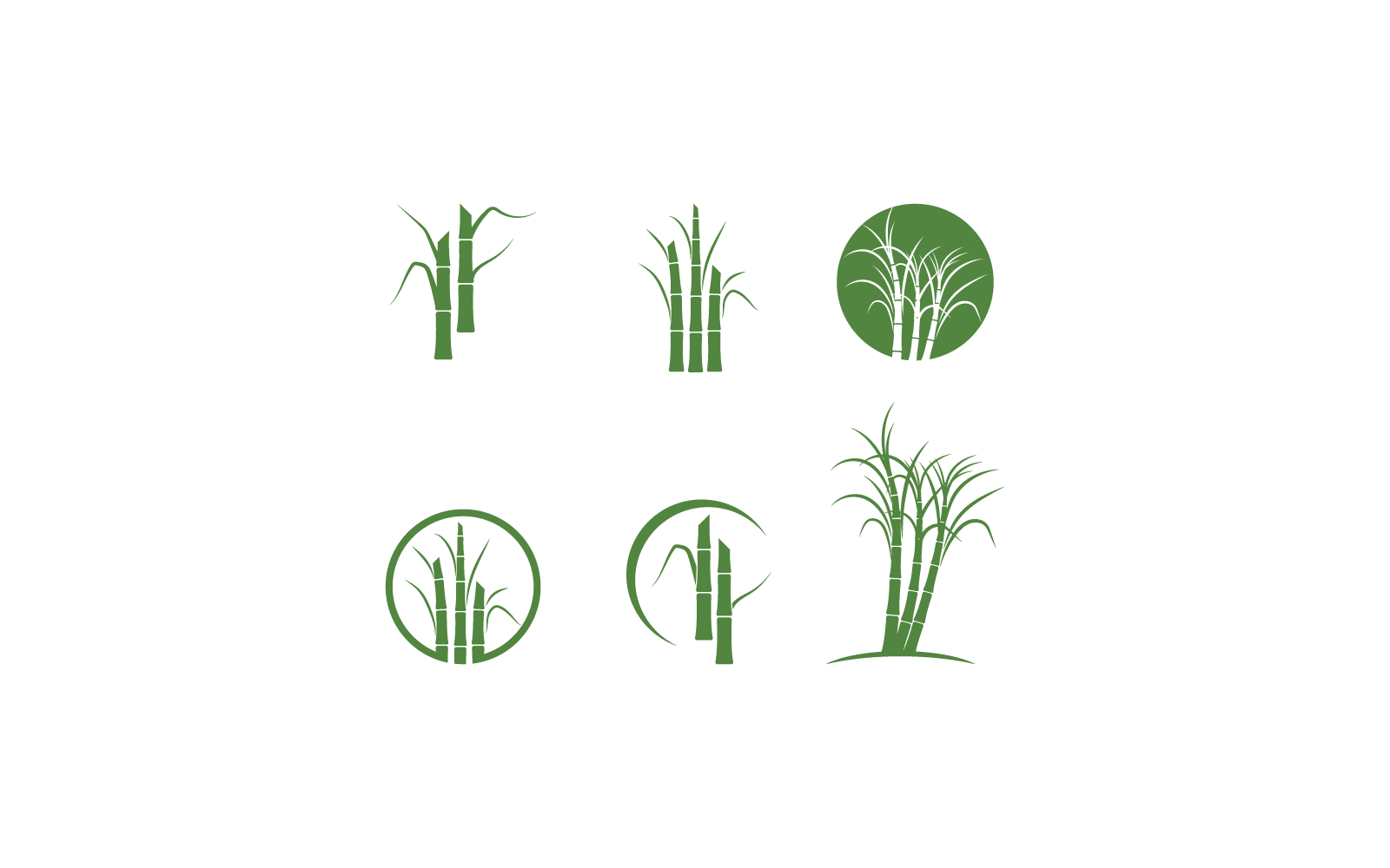 Modello di progettazione vettoriale del logo dell&amp;#39;albero di canna da zucchero