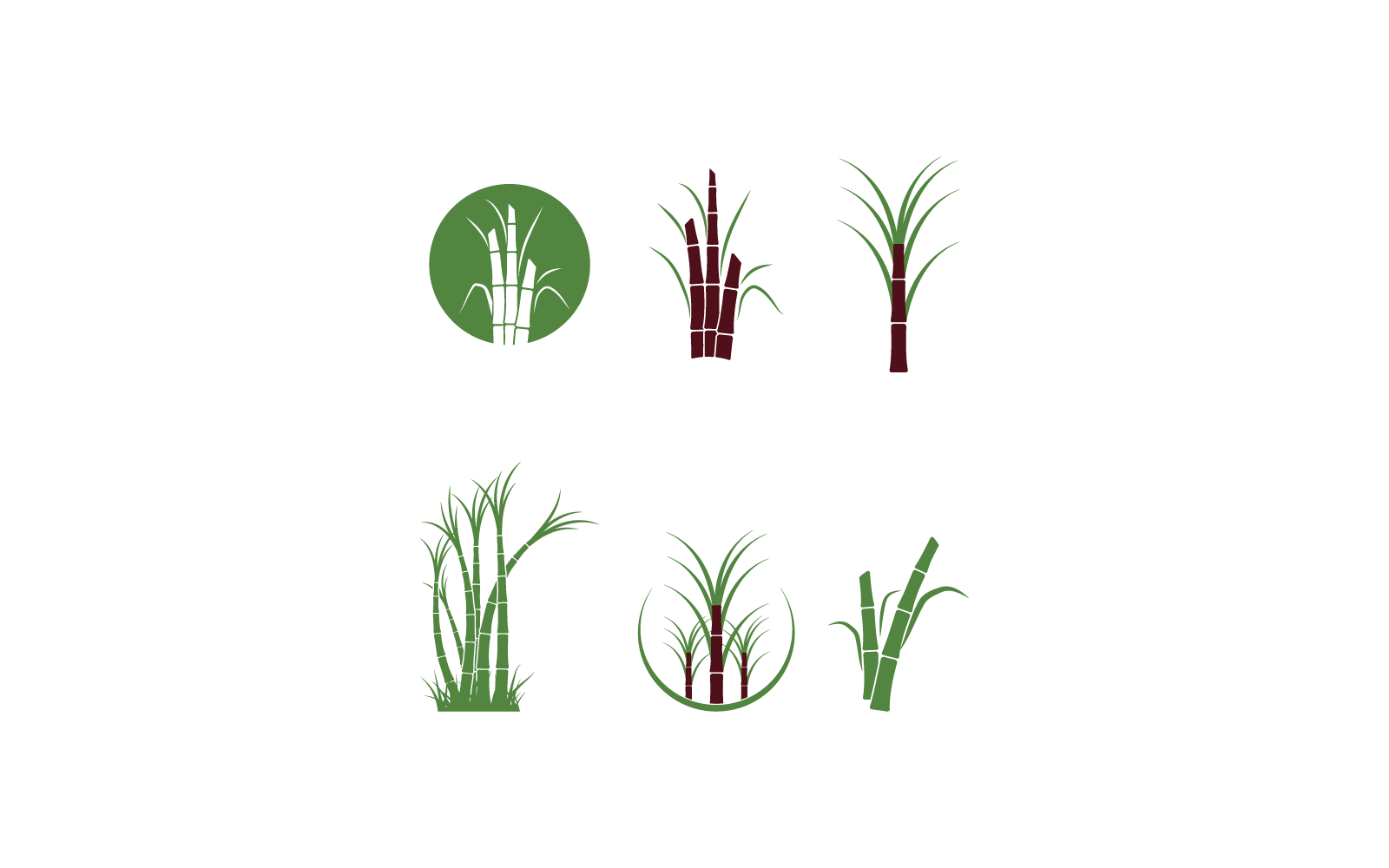 Suikerrietboom logo illustratie ontwerp vector sjabloon