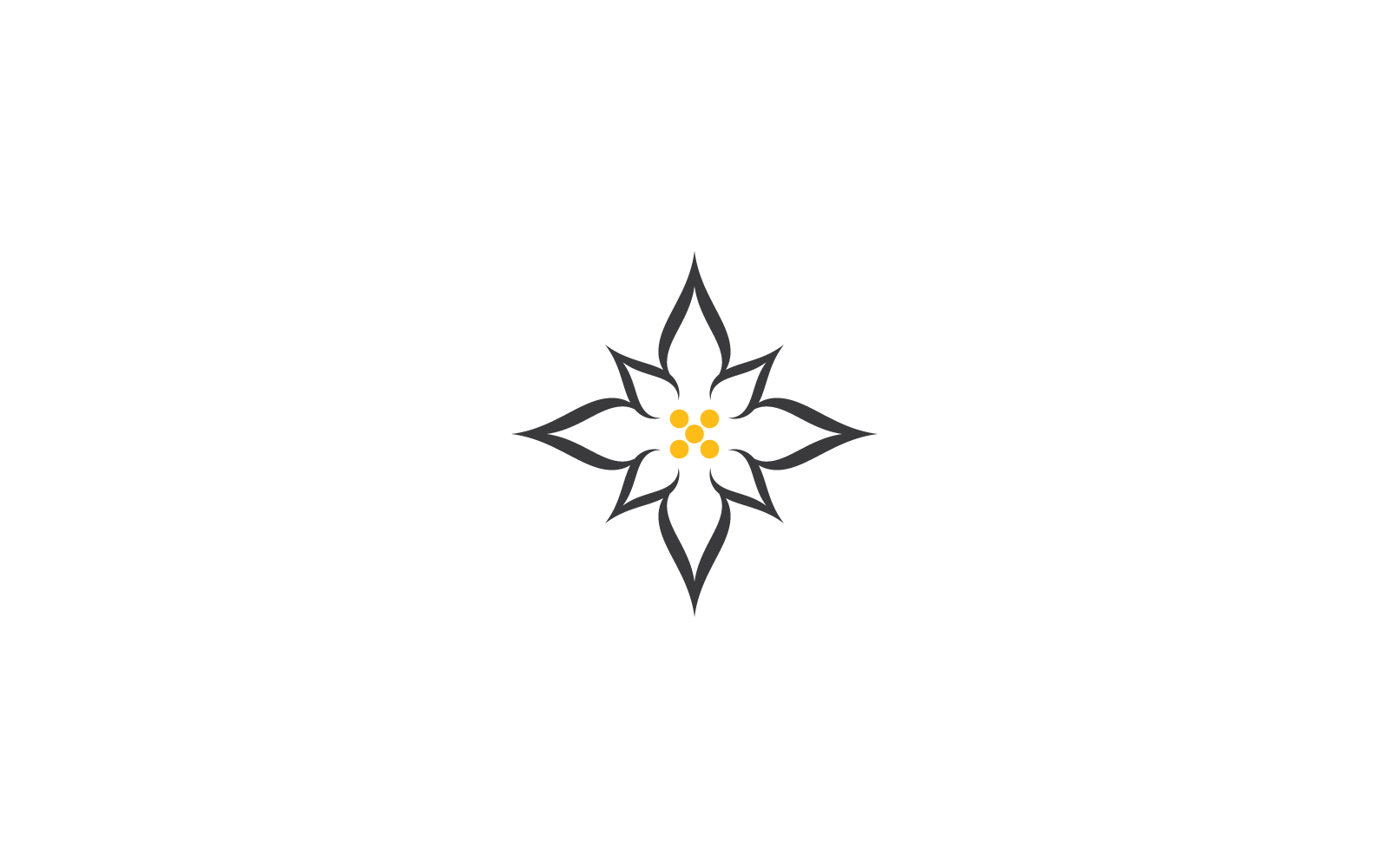 Edelweiss logo illustration template vector design