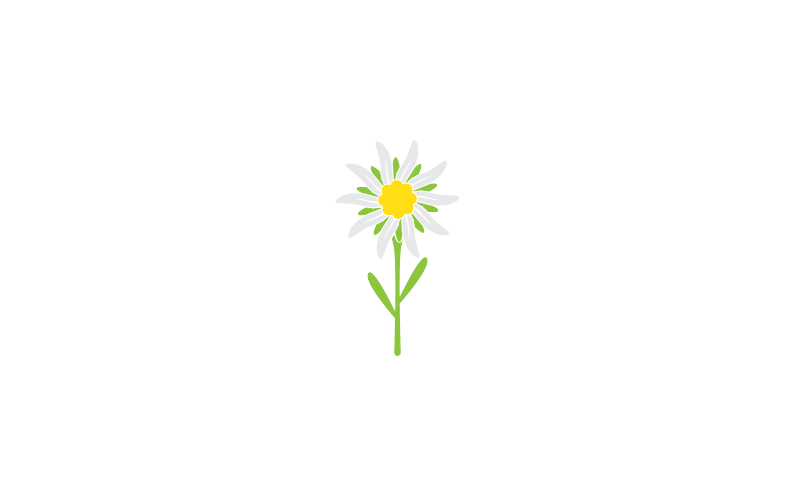 Edelweiss logotyp ikon illustration vektor design