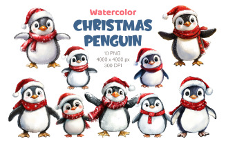 Christmas Penguin. Watercolor PNG.