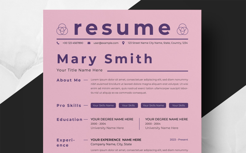 Executive Professional Resume Layout Resume Template