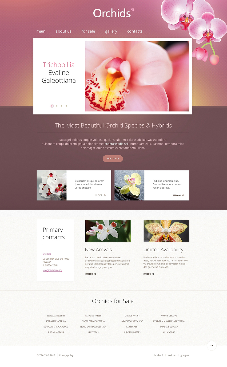 Flowers Responsive Website Template New Screenshots BIG