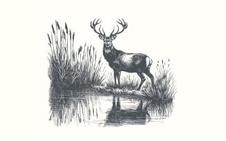 Deer PNG Design, Hunting PNG, Vintage Deer Art, Nature Camping Wildlife, Deer at Lake Image, Retro