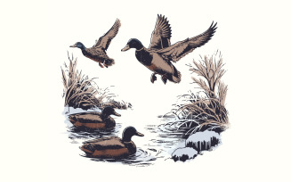 Vintage Duck PNG, Mallard Duck Clipart, Wild Duck Sublimation, Flying Ducks Hunting, Marsh PNG,