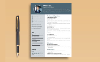 Chronological Resume Template