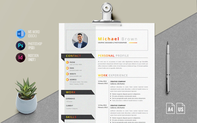 Professional CV - Resume Template
