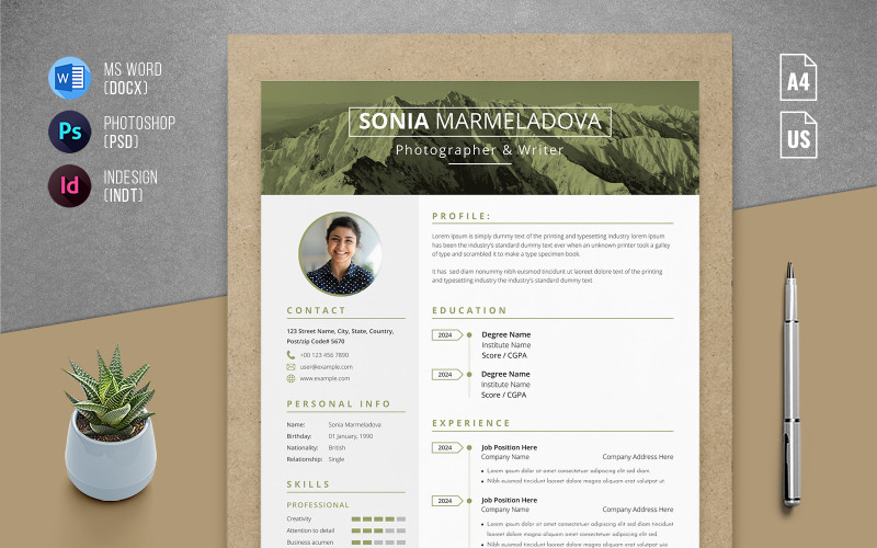 Professional Resume Template - Curriculum Vitae