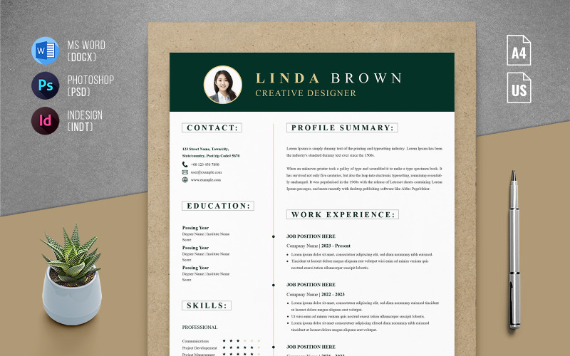Professional Resume Templates - Four page CV