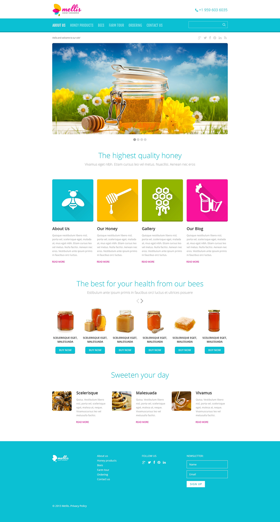 Honey Store Responsive Website Template New Screenshots BIG