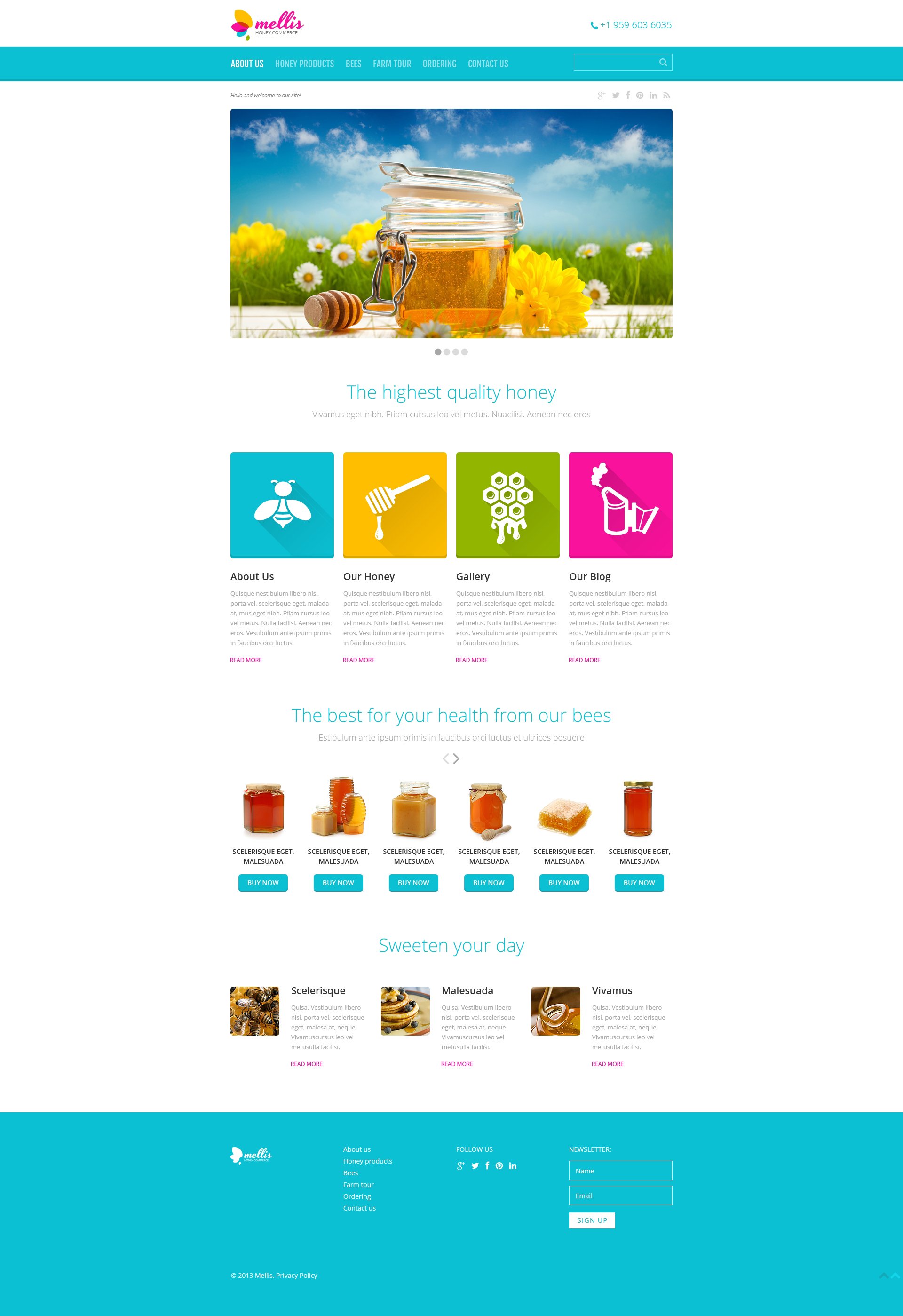 Honey Store Responsive Website Theme