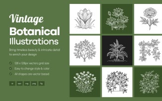 Floral and Botanical Illustration Set