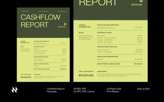 Simple Modern Cashflow Report
