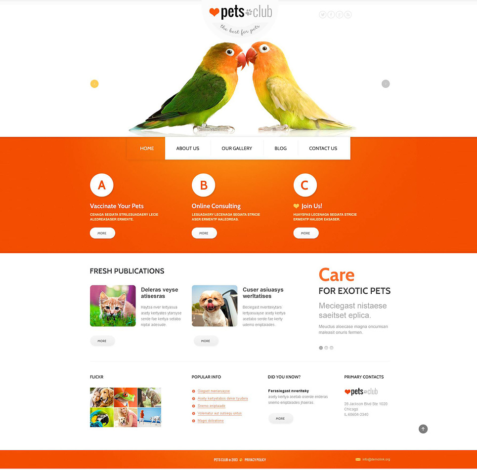 Nulled templates. Животные для сайта html. Animals website Template.