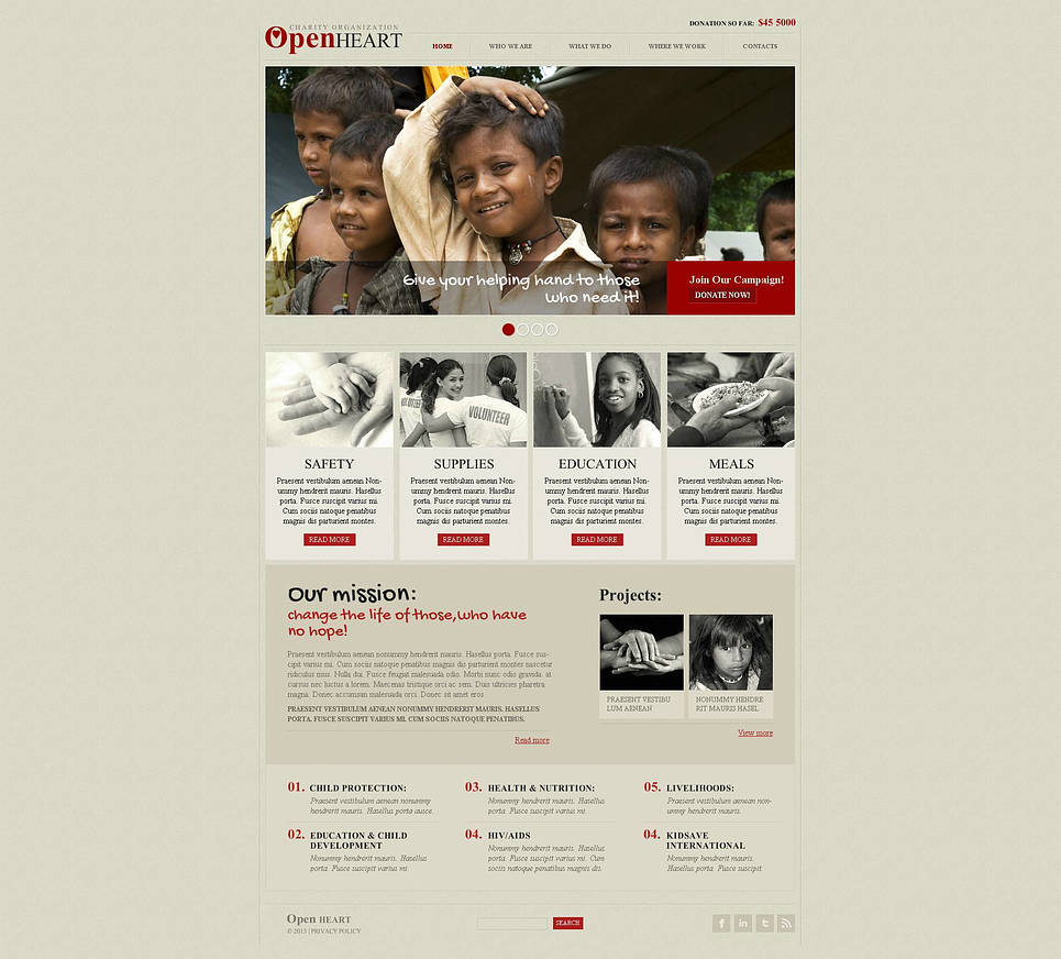 Charity Flash CMS Template New Screenshots BIG