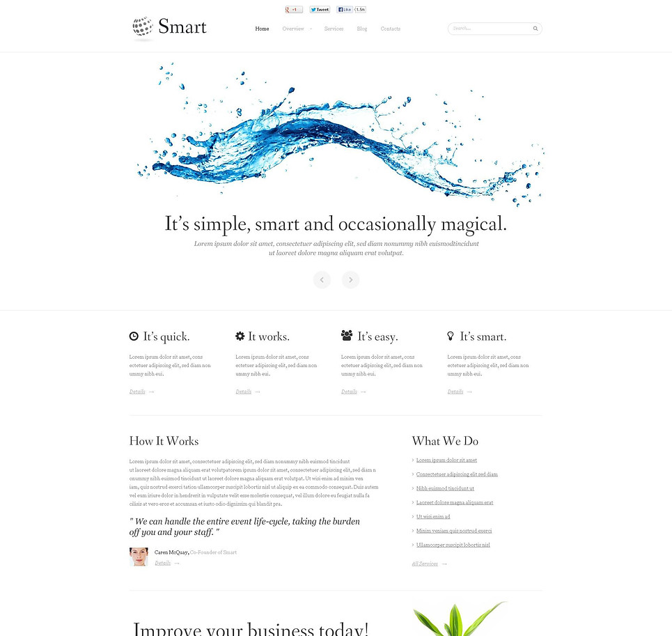 Marketing Agency Flash CMS Template New Screenshots BIG