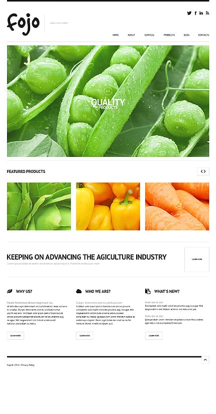 WordPress main photoshop screenshot