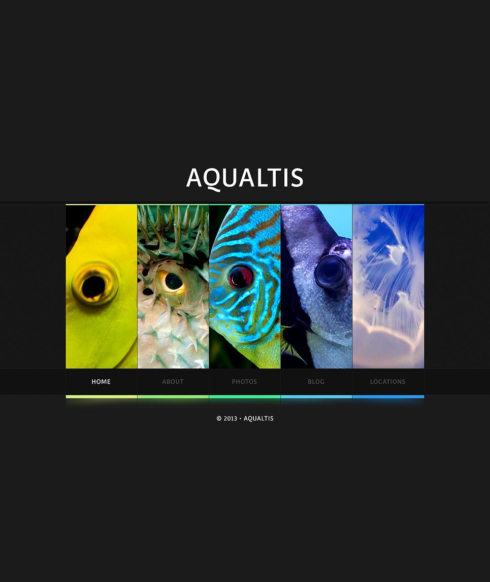 Fish Website Template New Screenshots BIG