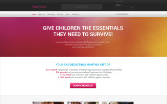 Simple Charity WordPress Theme