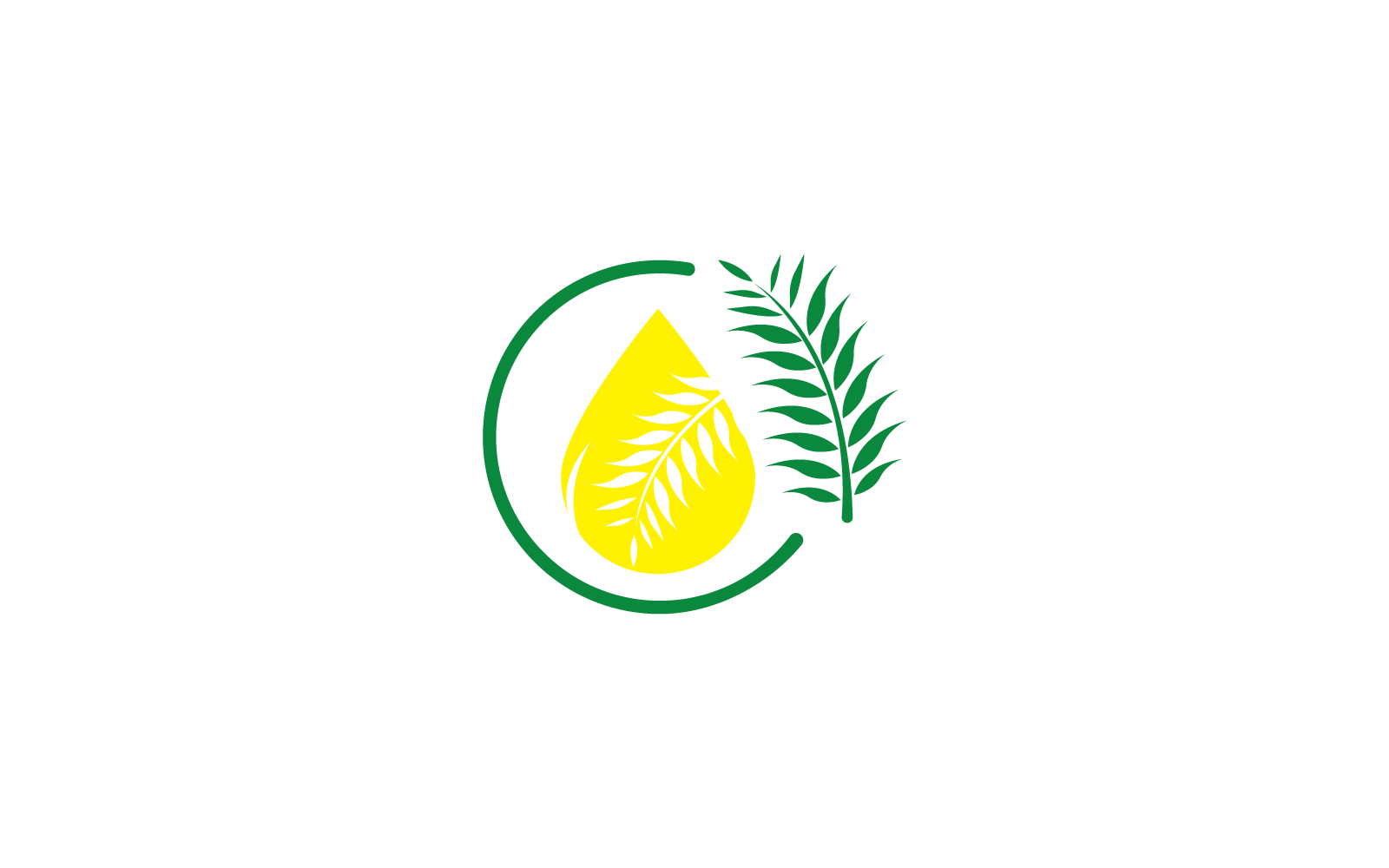 Modello di illustrazione del logo del design della palma da olio