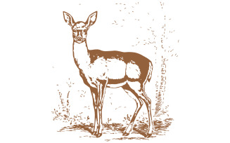 The deer standing in a forest illustration art