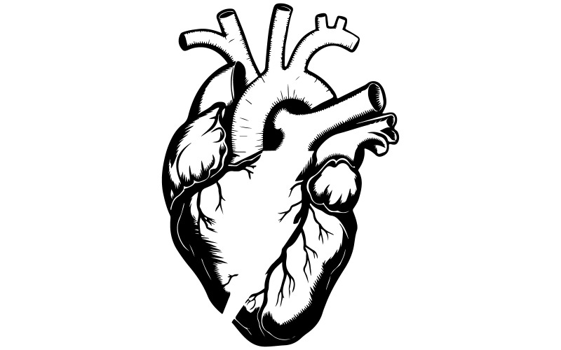 A drawing art of a heart illustration Illustration